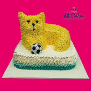 Cat with Pillow Cake